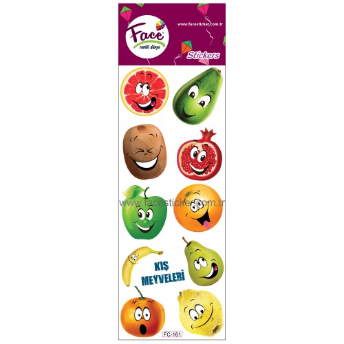 KIŞ MEYVELERİ STICKER FC-161